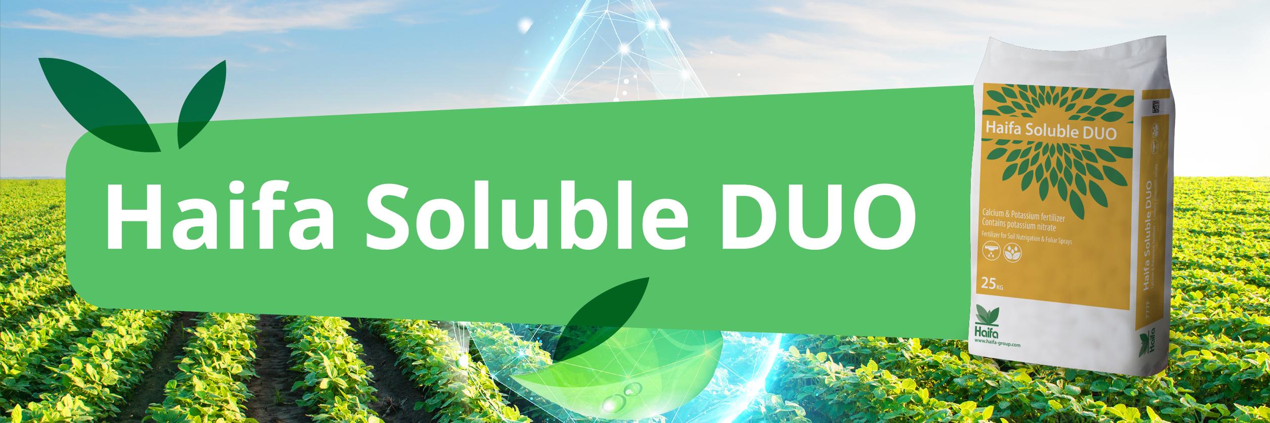 Dou header newsletter june  2025 EN