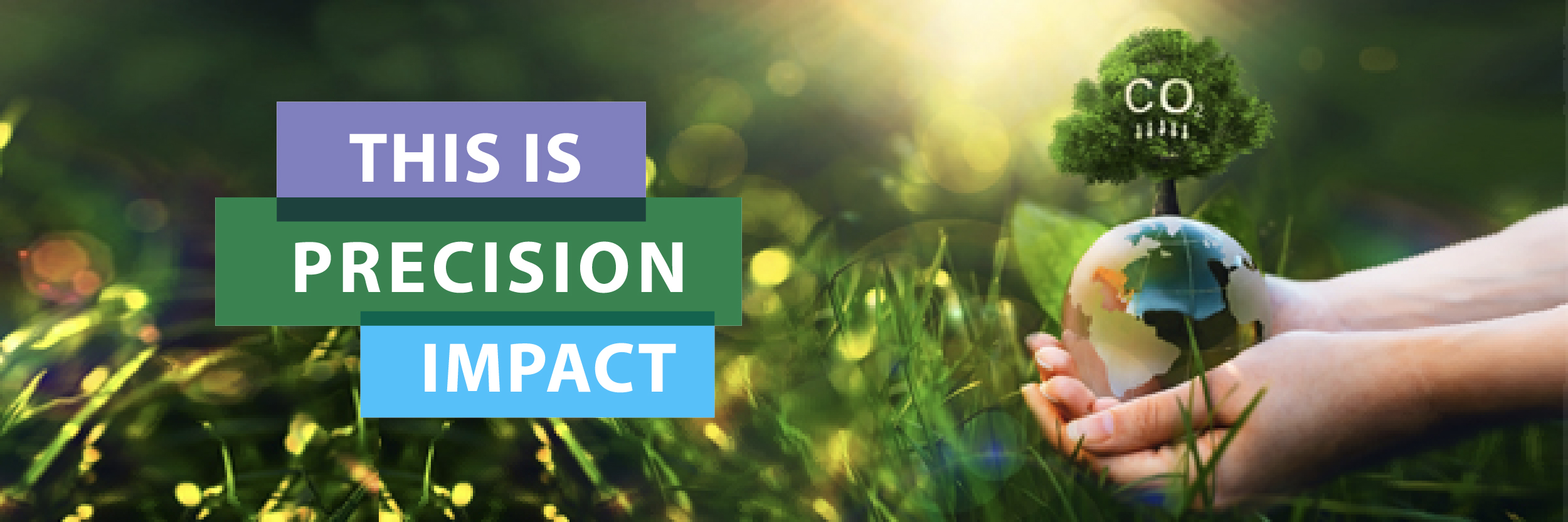 Impact header newsletter september 2025 EN