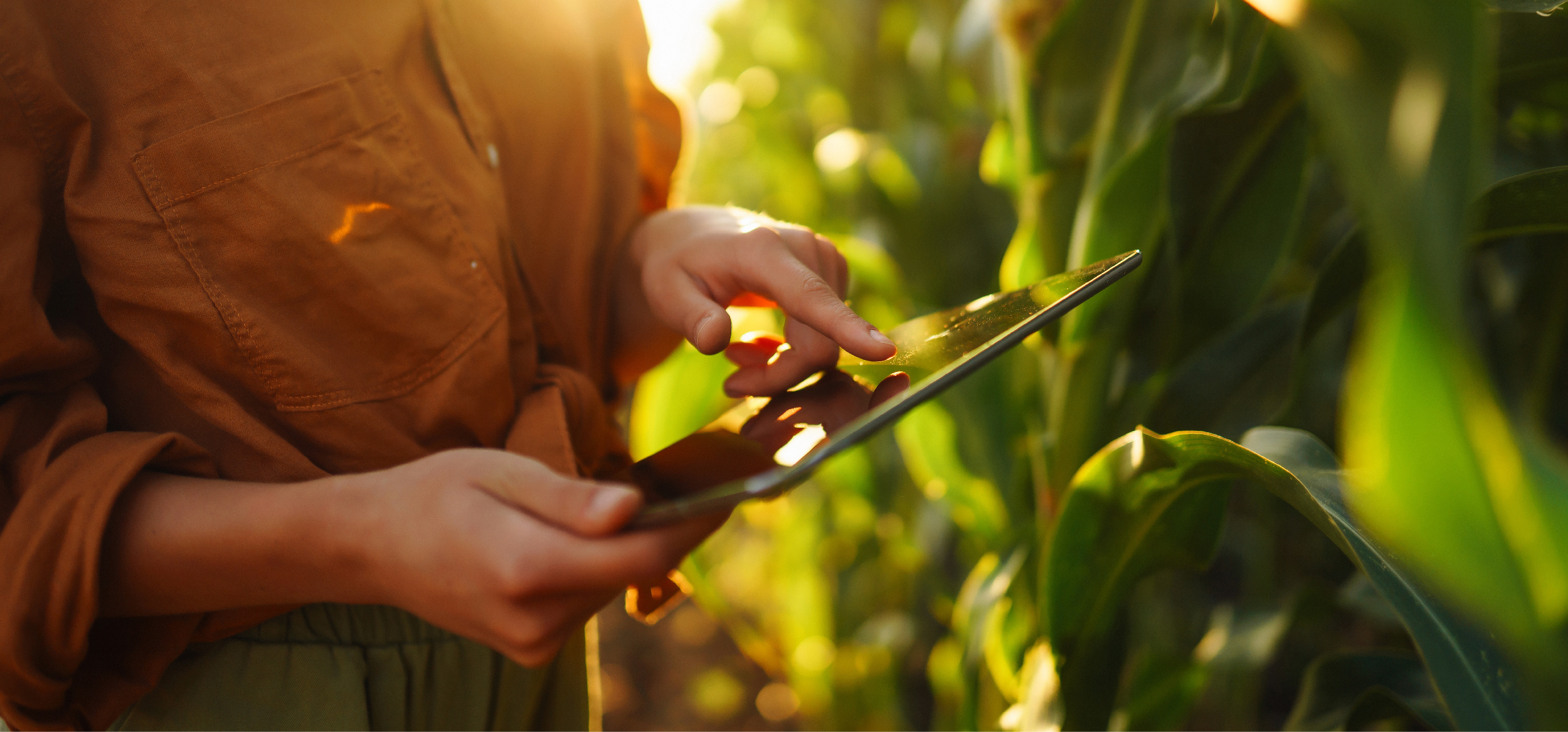 technologies header newsletter sep 2024 EN