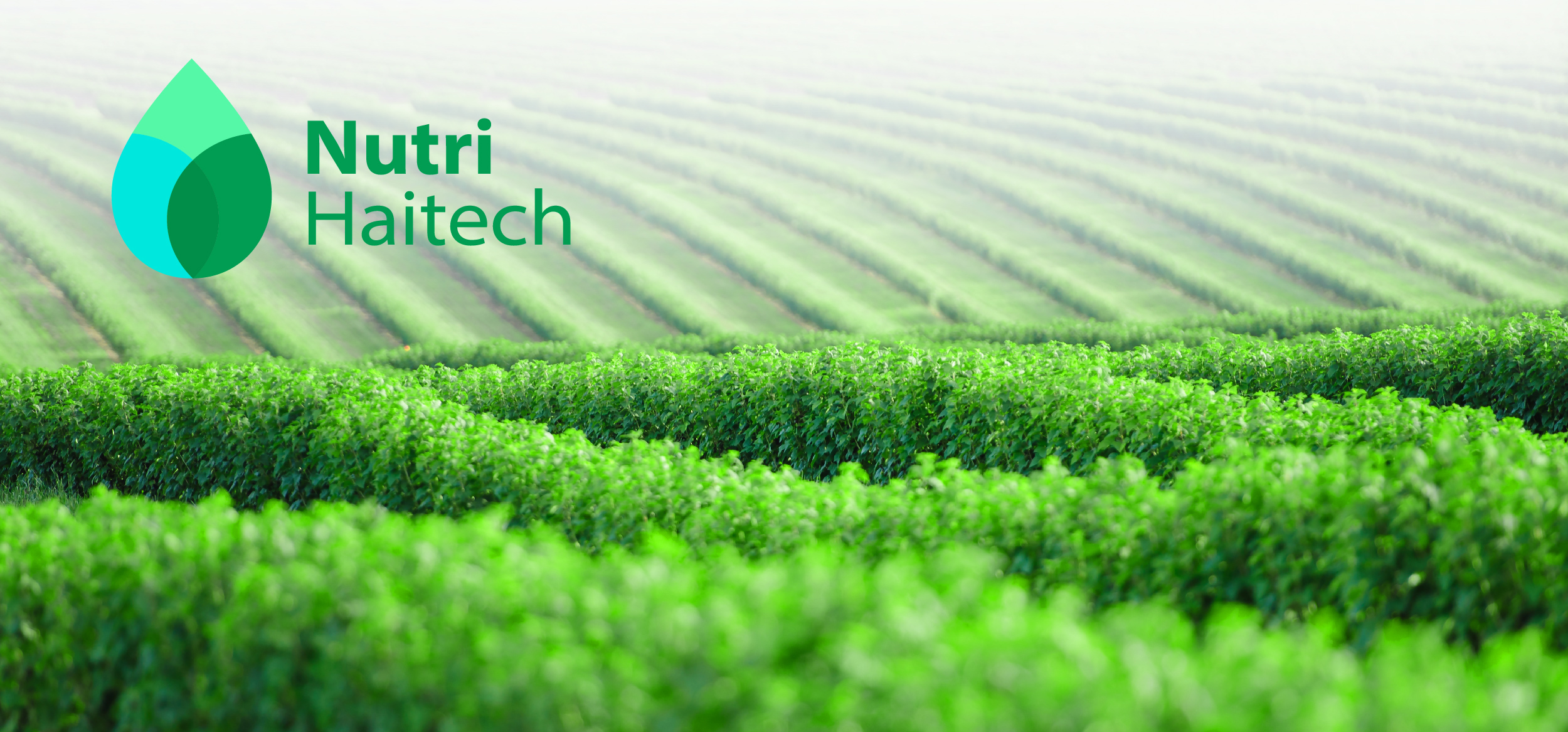 NutriHaitech header newsletter october 2024 EN