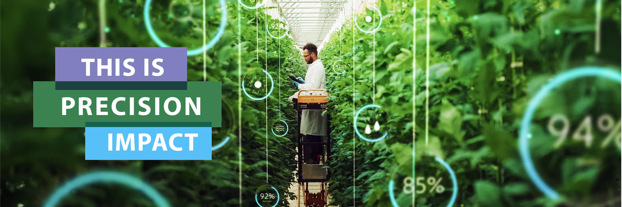 Impact header newsletter july 2025 EN