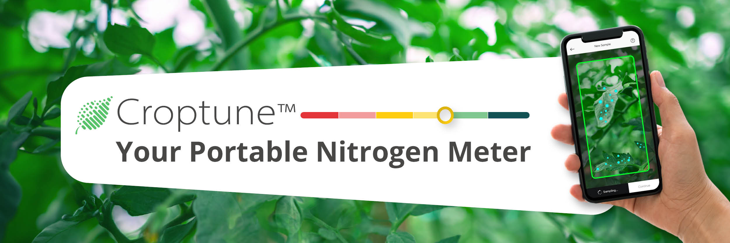 Croptune header newsletter november 2024 EN