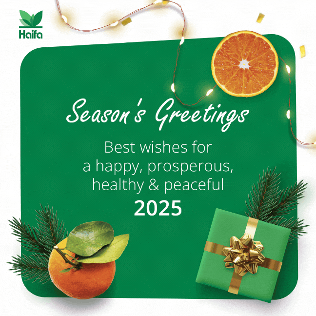 December newsletter 2024 EN