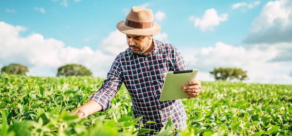 experts butten february 2025 EN