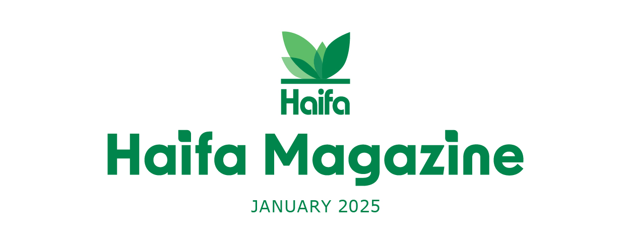 Mounthly newsletter January 2025 EN