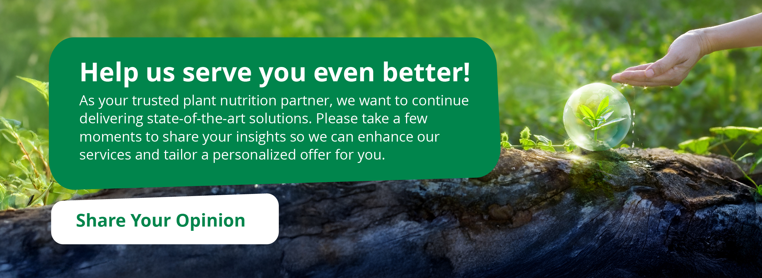 survey newsletter november 2024 EN