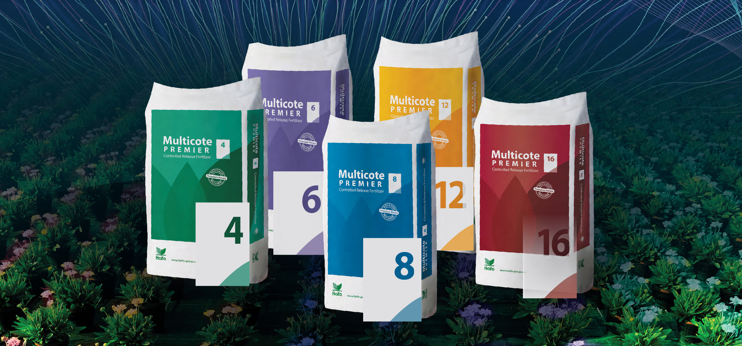 Multicote header newsletter march 2025 EN