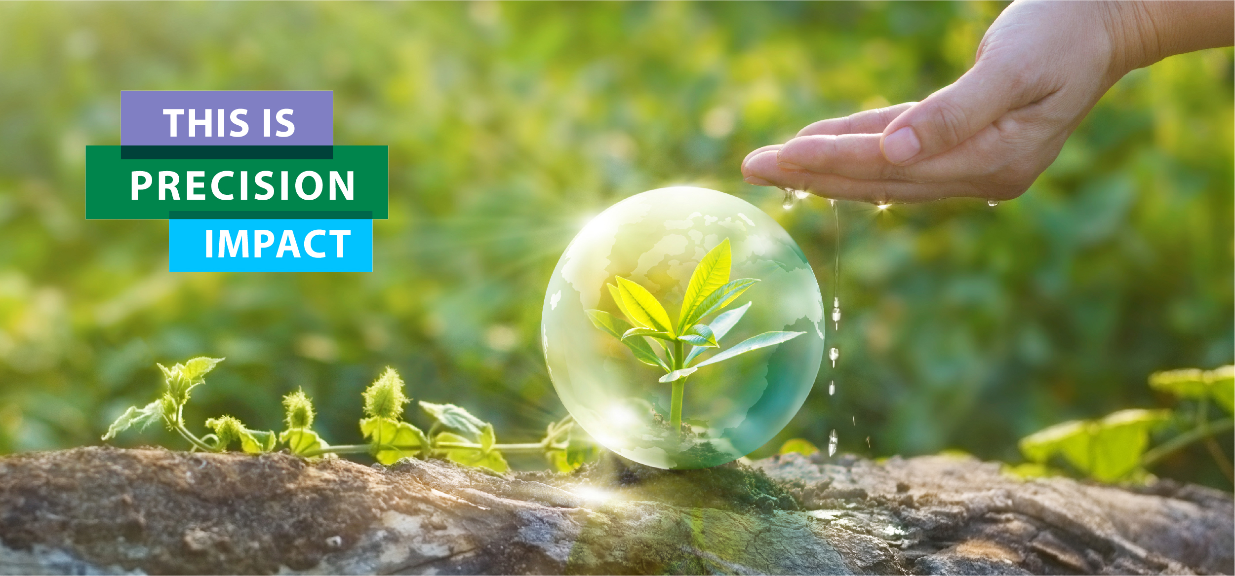 Impact header newsletter april 2025 EN