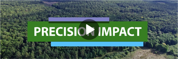 Impact header newsletter november 2025 EN