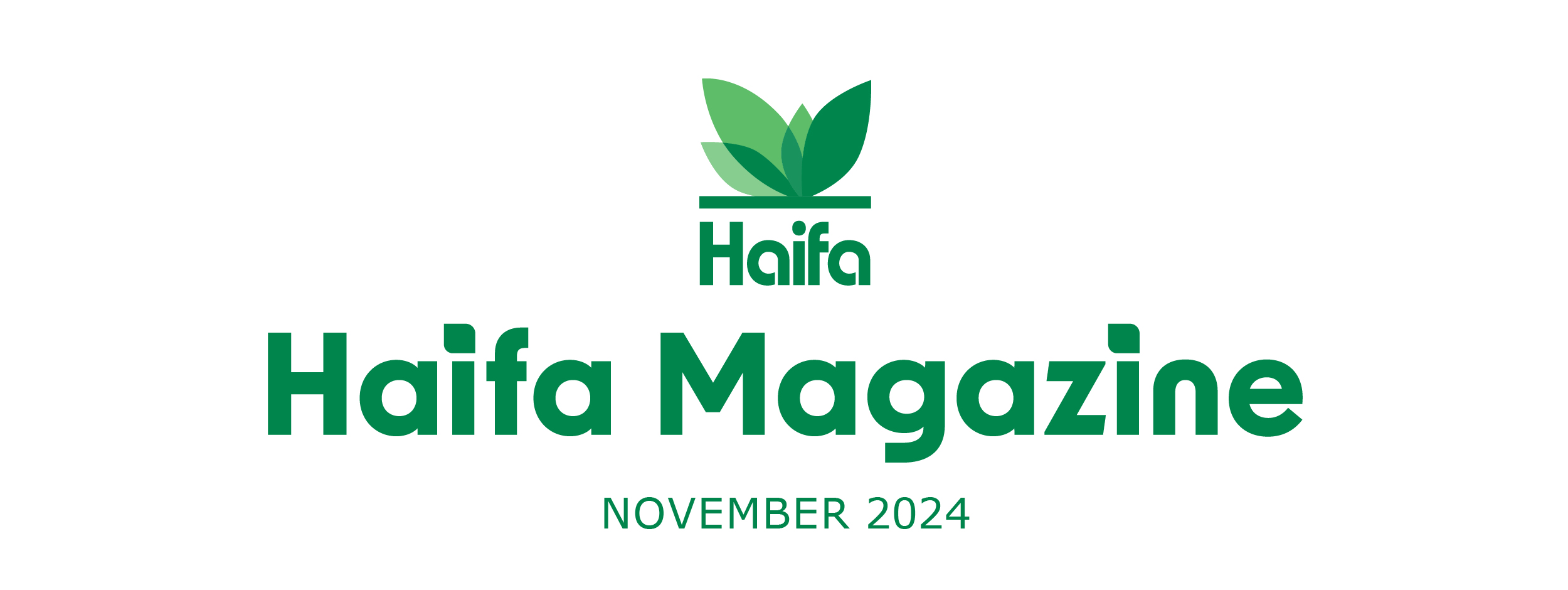 Mounthly newsletter november 2024 EN